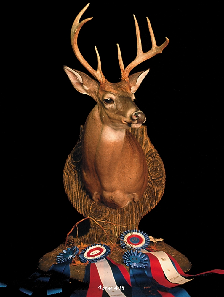 Foster Taxidermy Supply Taxidermy Forms And Taxidermy Supplies